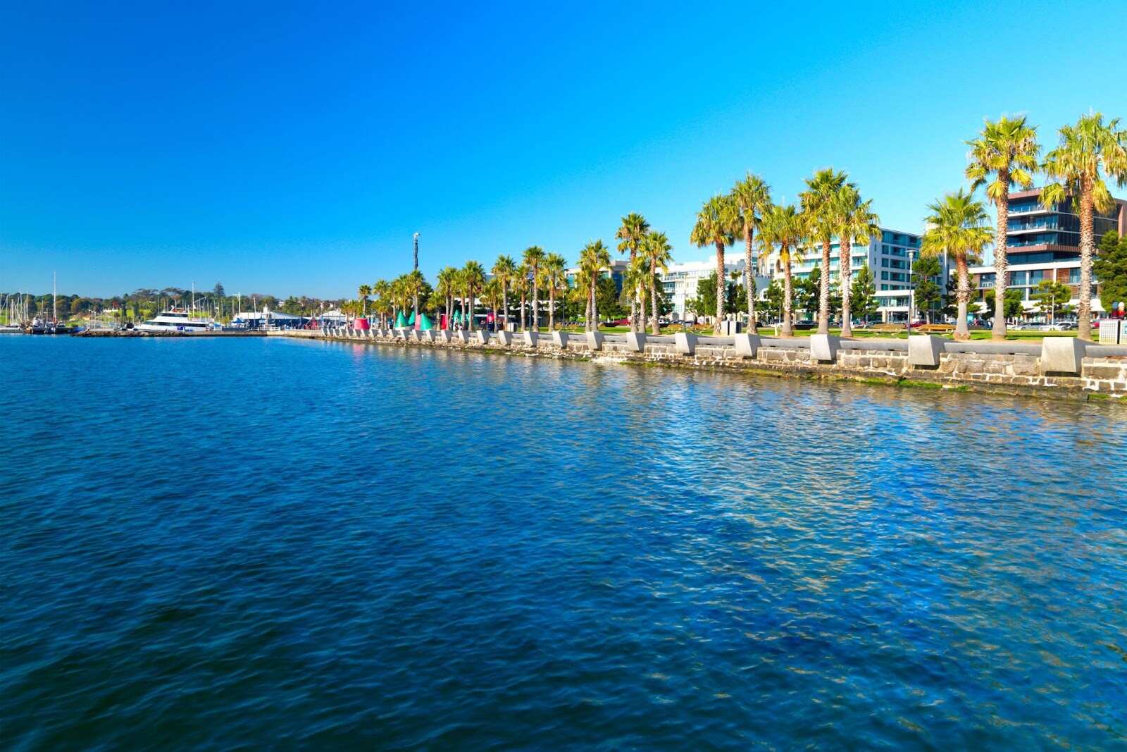 Geelong coastline