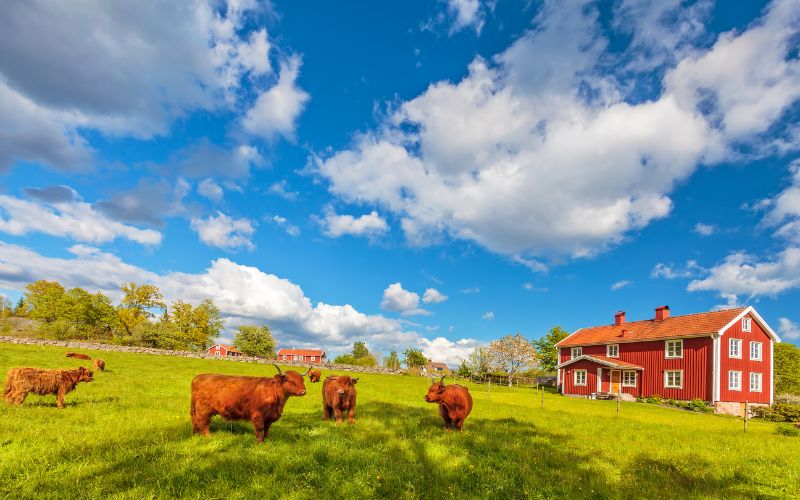 Cozy Australian Farmhouses in Geelong